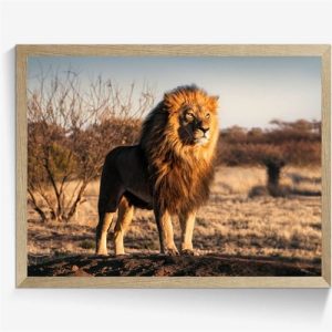 Trendiga dekorationer på väggen